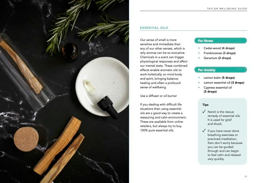 Taylor Wellbeing Wellbeing Guide